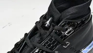 17 Jordan Air Black Chrome 303891-004 OG Low 0610